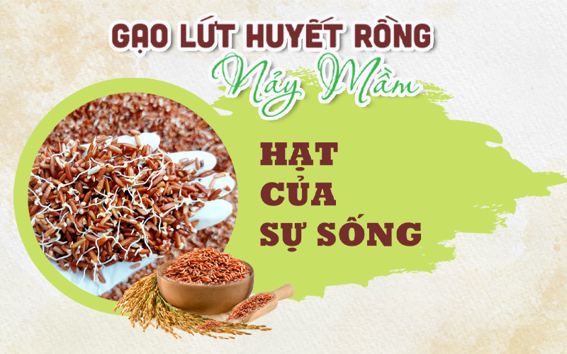 Tác dụng với sức khỏe của gạo lứt huyết rồng Tác dụng với sức khỏe của gạo lứt huyết rồng
