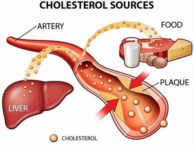 Hàm lượng cholesterol có trong máu