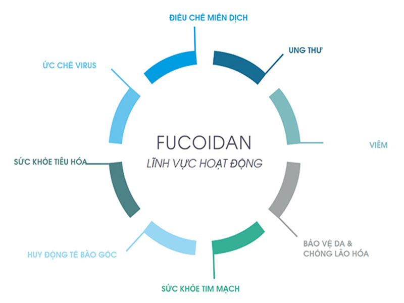 Tác dụng của Fucoidan