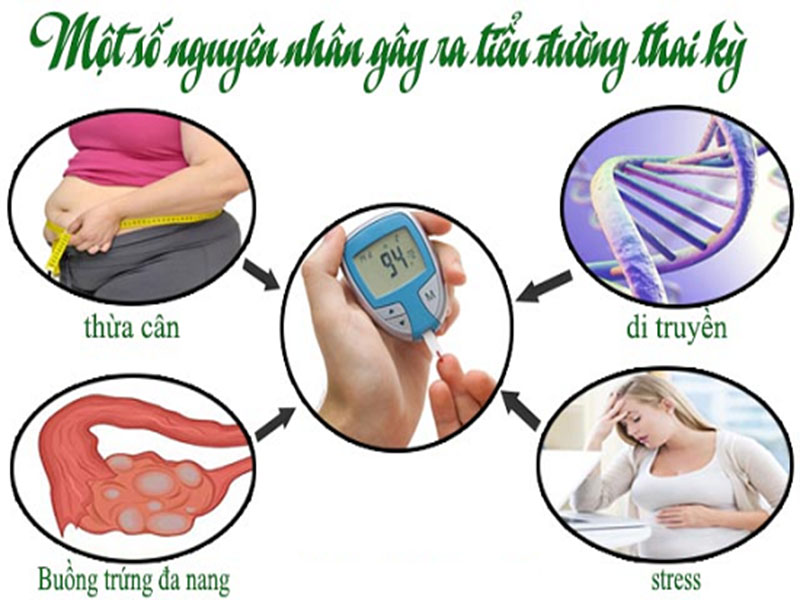 Nguyên nhân tiểu đường thai kỳ