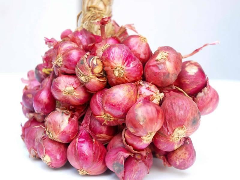 Trong trường hợp mắc bệnh nặng, các Phật tử có thể ăn hành theo chỉ dẫn của bác sĩ