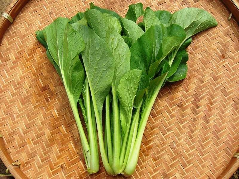Nên ăn các loại rau cải