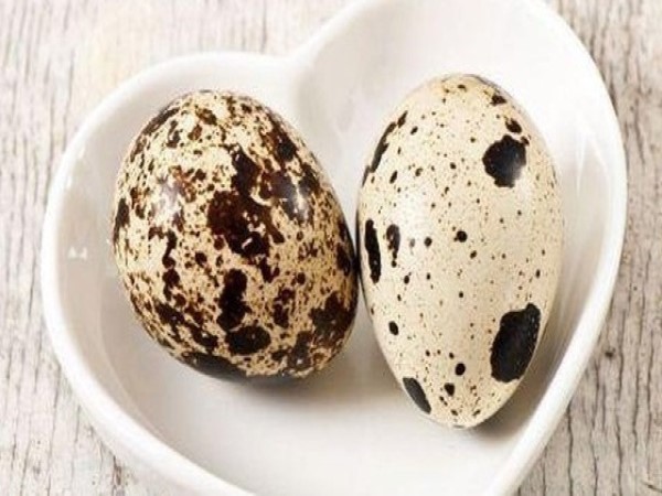 Giải đáp ăn chay ăn trứng được không?