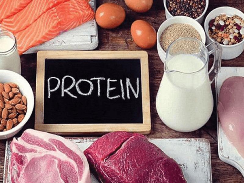 Ăn nhiều protein hơn