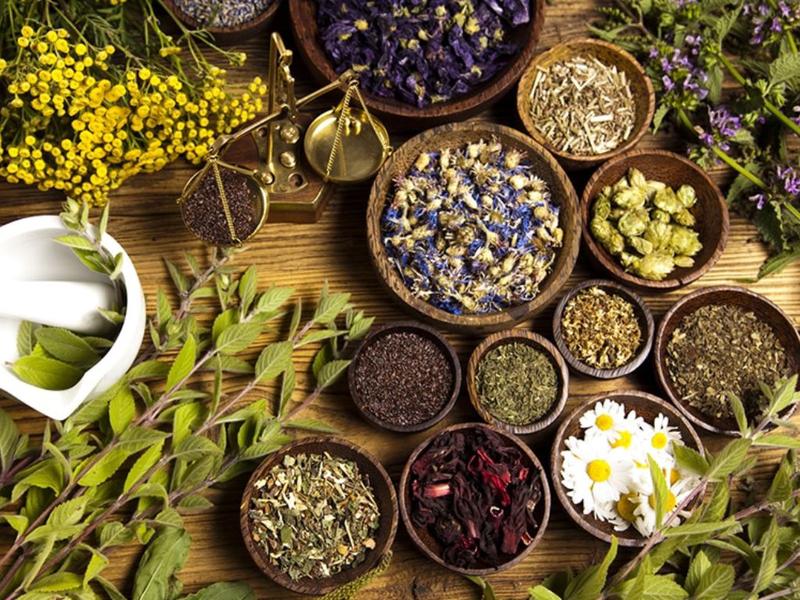 Chữa ung thư thực quản bằng thuốc nam có hiệu quả?