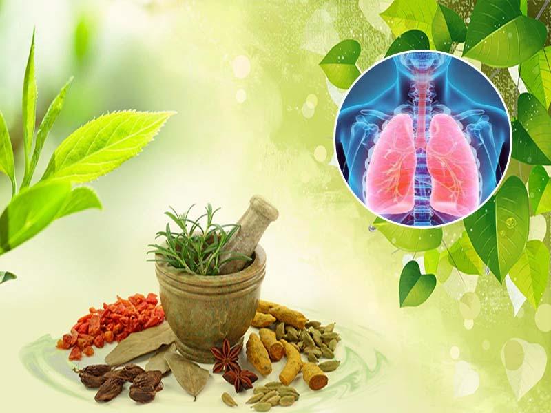 Lưu ý khi chữa bệnh ung thư bằng thuốc nam