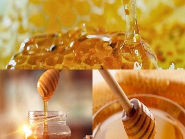 So sánh mật ong với các loại đường khác