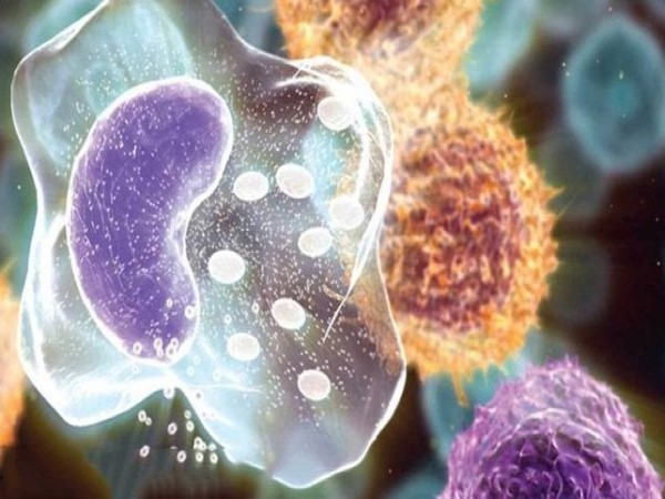 Miễn dịch đặc hiệu là gì?