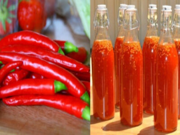 Sự thật bệnh nhân tiểu đường uống rượu ớt được không?