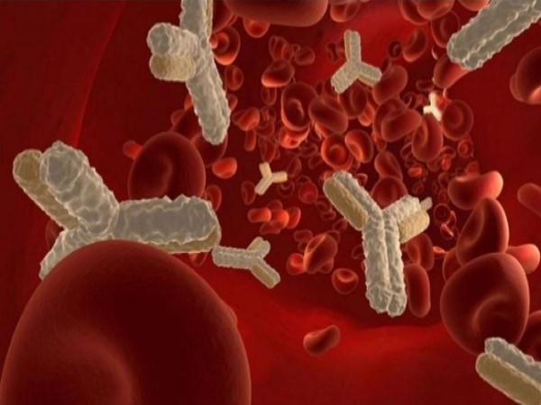 Sự khác biệt giữa miễn dịch nhân tạo và miễn dịch tự nhiên