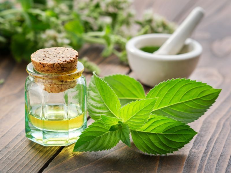 Lưu ý khi dùng thuốc nam chữa ung thư