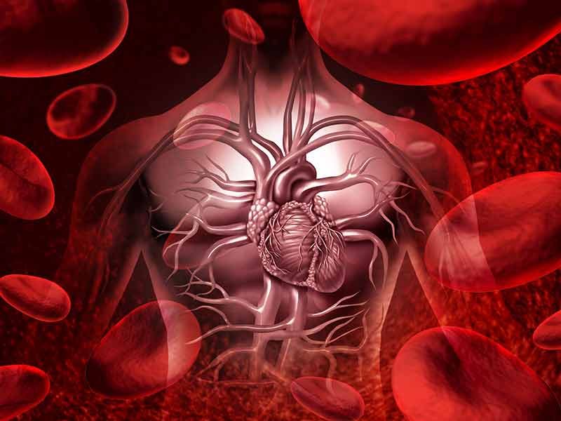 Ung thư máu giai đoạn cuối đe dọa tới tính mạng của người bệnh