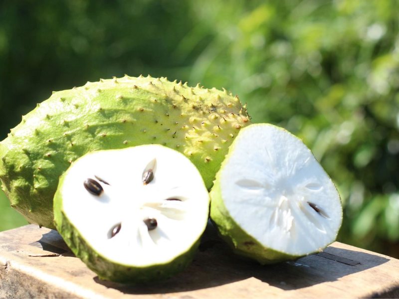 Bệnh nhân ung thư dạ dày nên bổ sung thêm mãng cầu