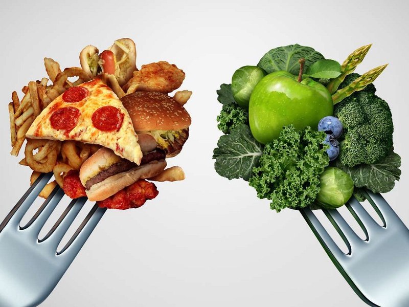 Công dụng của tháp dinh dưỡng