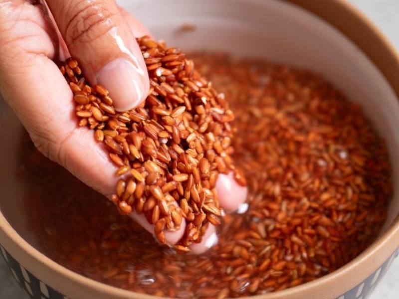 Gạo lứt có nhiều tác dụng tốt cho sức khỏe của người dùng