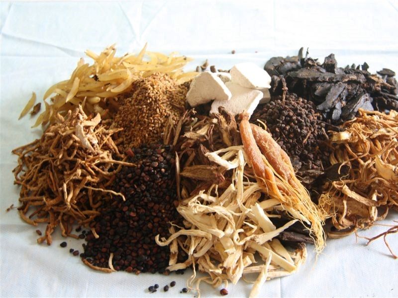 Cây thuốc nam chữa ung thư dạ dày có hiệu quả không?