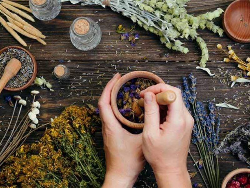 Lưu ý khi sử dụng cây thuốc nam chữa ung thư dạ dày