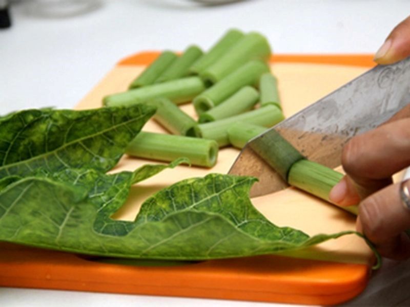 Tác dụng của lá đu đủ với bệnh nhân ung thư