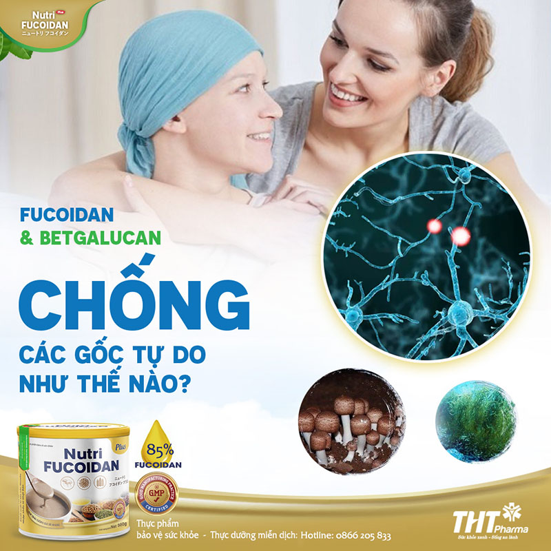 Thực dưỡng miễn dịch Nutri Fucoidan