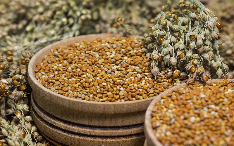 Tác dụng tuyệt vời từ hạt kê