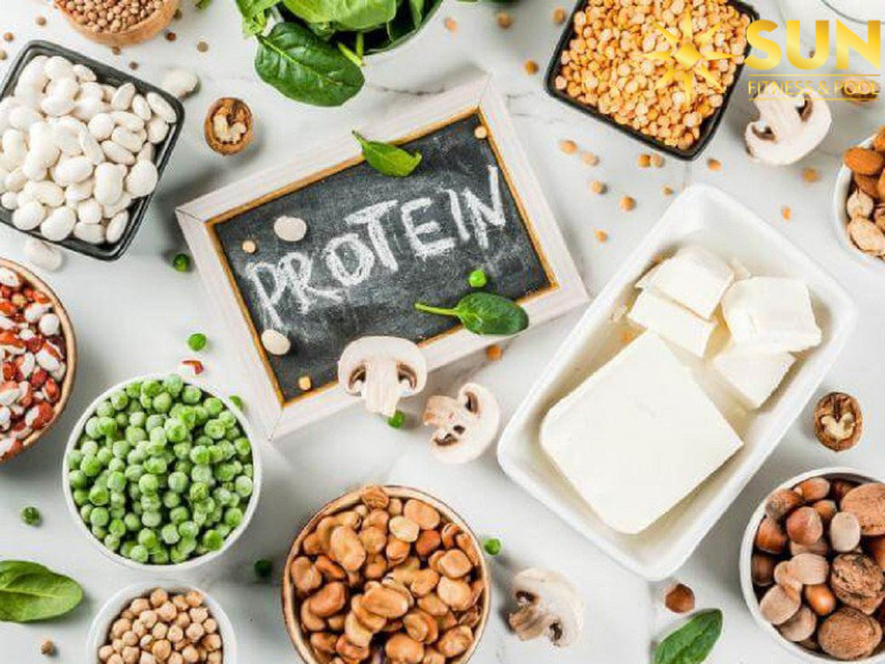 Protein là thành phần quan trọng, phục vụ cho các hoạt động của cơ thể