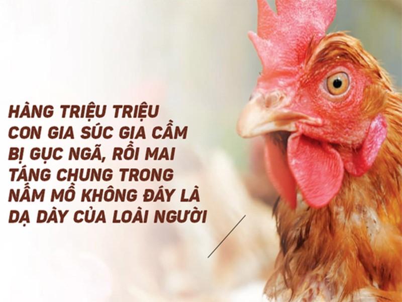 Ăn nhiều thịt, cá, trứng, rượu, bia, càng nhiều bệnh