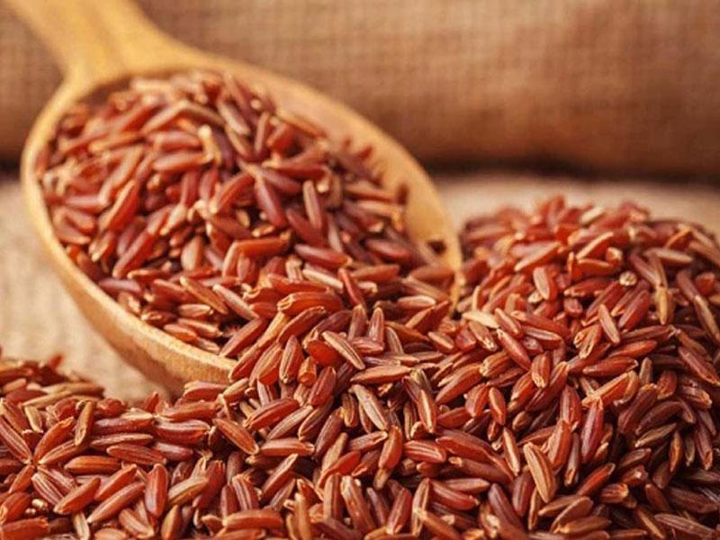 Gạo lứt huyết rồng có chứa nhiều khoáng chất và các loại vitamin