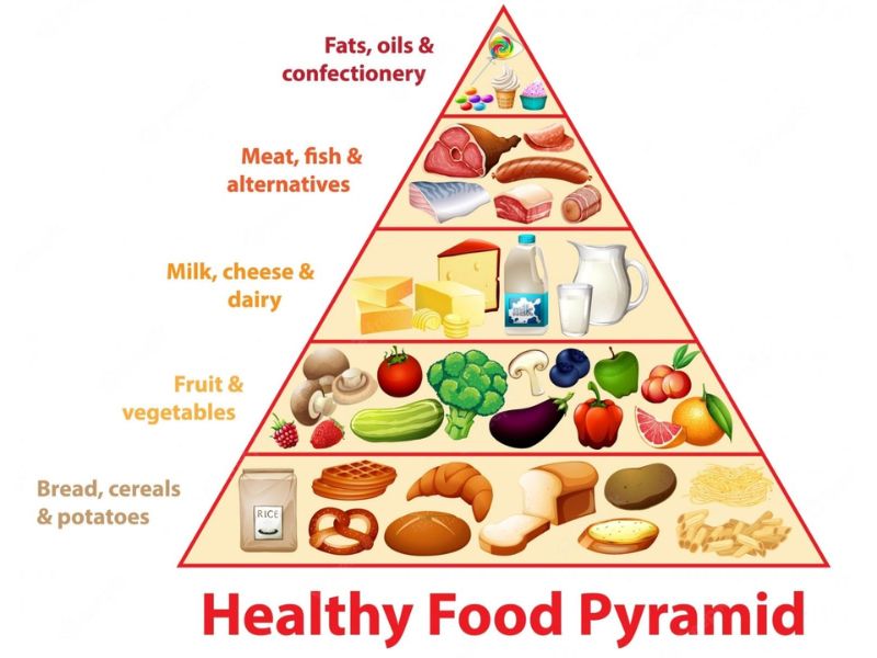 Mô hình ăn uống được xây dựng theo hình dáng kim tự tháp