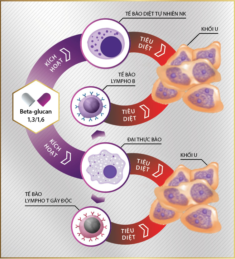 Công dụng của Beta Glucan 