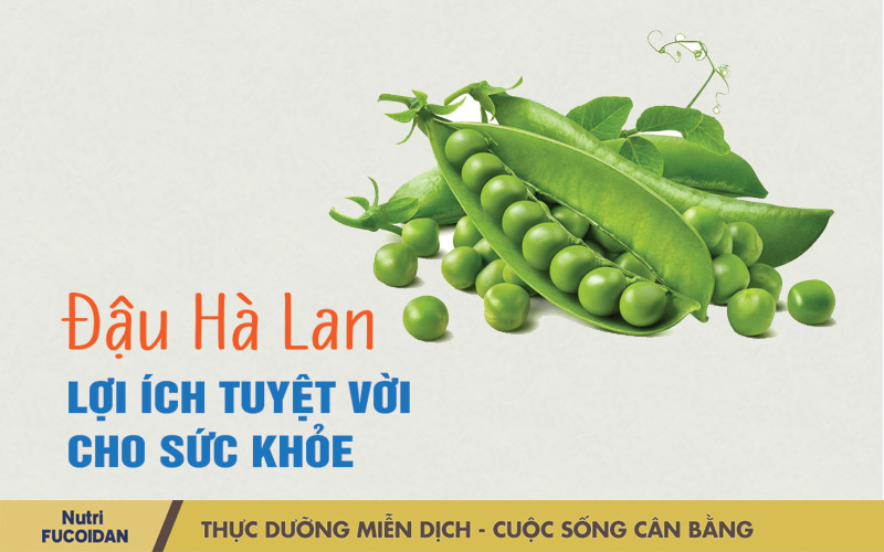 Đậu hà lan và 7 lợi ích sức khỏe tuyệt vời