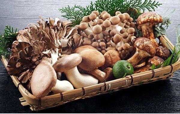 Betaglucan tốt cho người bệnh u bướu như thế nào?