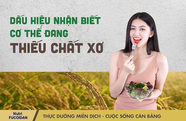 Dấu hiệu cơ thể thiếu chất xơ bạn nhất định phải biết