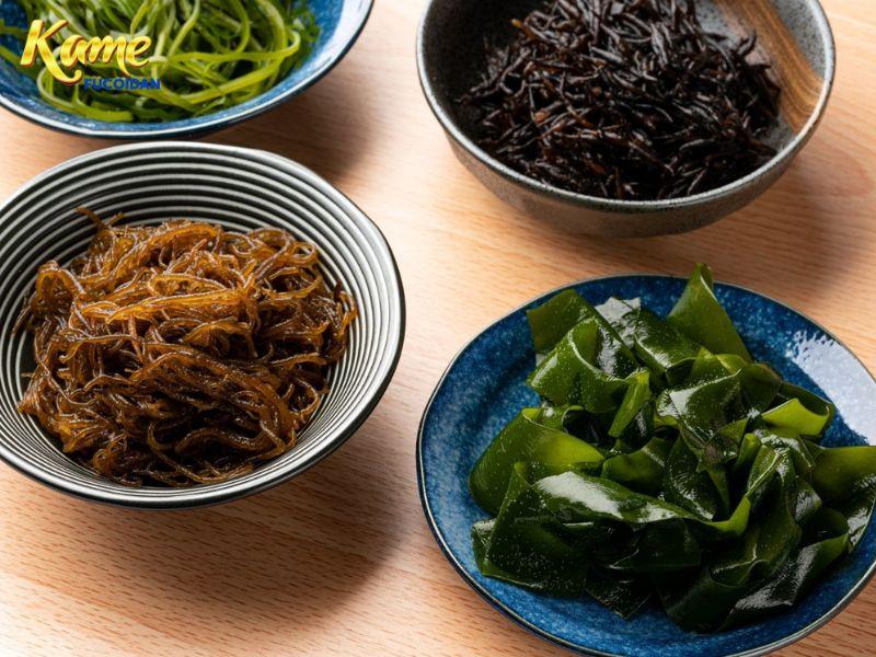 Fucoidan và bí quyết sống thọ của người Nhật