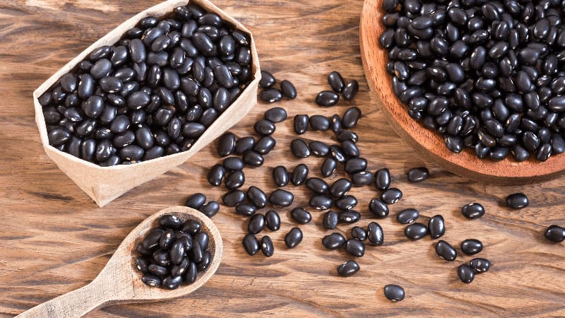 Đậu Đen: Thực Phẩm Bổ Dưỡng và Lợi Ích Sức Khỏe