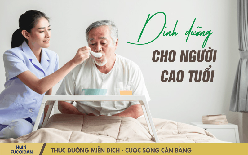 Dinh dưỡng cho người cao tuổi