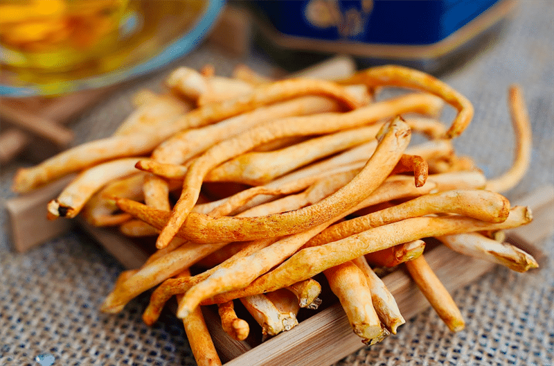 Sự thật về đông trùng hạ thảo