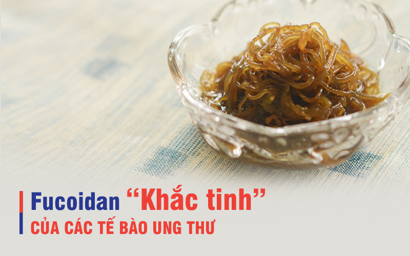 Fucoidan – “Khắc tinh” của các tế bào ung thư