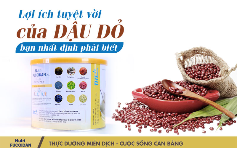 Lợi ích tuyệt vời của đậu đỏ bạn nhất định phải biết