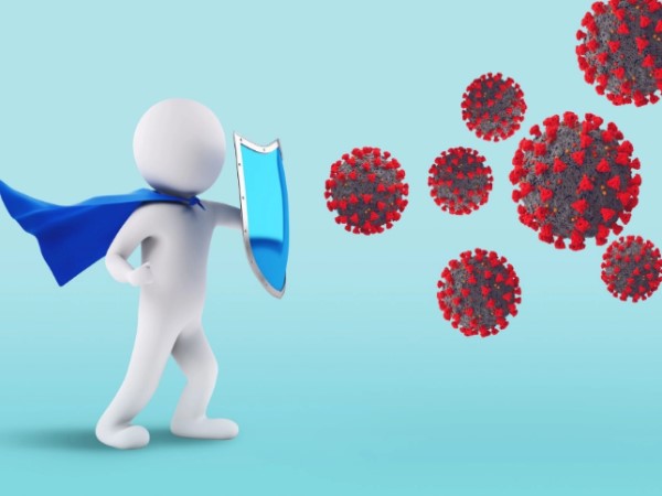 Hệ miễn dịch gồm: Cấu tạo và các phản ứng bảo vệ cơ thể