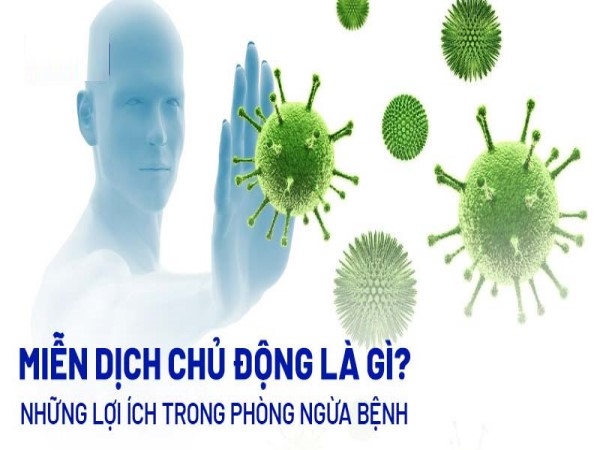 Miễn dịch thụ động chiếc khiên bảo vệ cơ thể