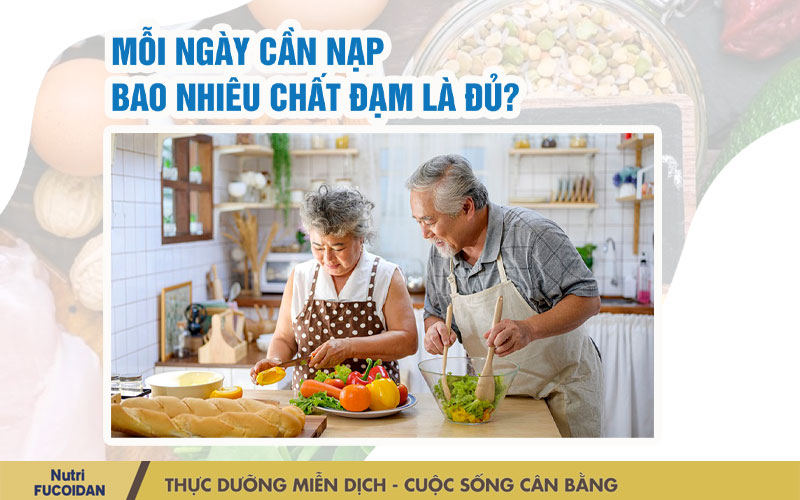 Mỗi ngày nạp bao nhiêu chất đạm là đủ