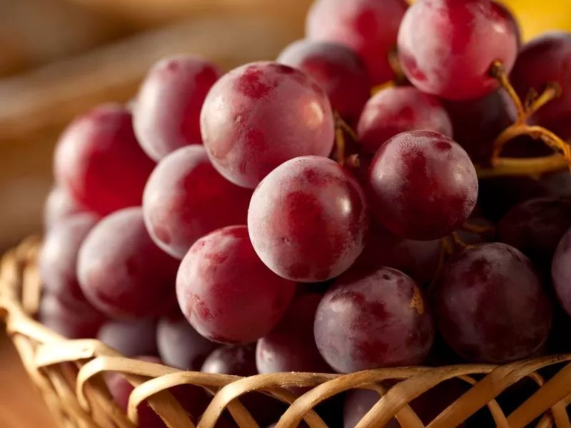 Ung thư dạ dày nên ăn hoa quả gì là tốt nhất?