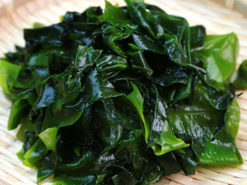 [Giải đáp] Rong biển ăn chay được không?