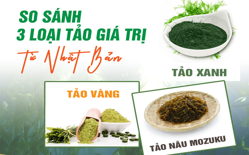 So sánh 3 loại tảo giá trị đến từ Nhật Bản