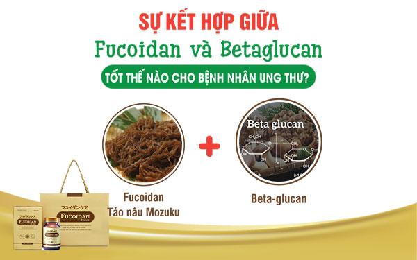 Fucoidan có tác dụng gì? Fucoidan kết hợp cùng Betaglucan tốt thế nào cho bệnh nhân ung thư