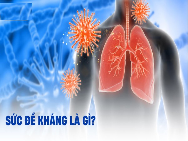 Sức đề kháng: Tấm khiên bảo vệ cơ thể trước bệnh tật