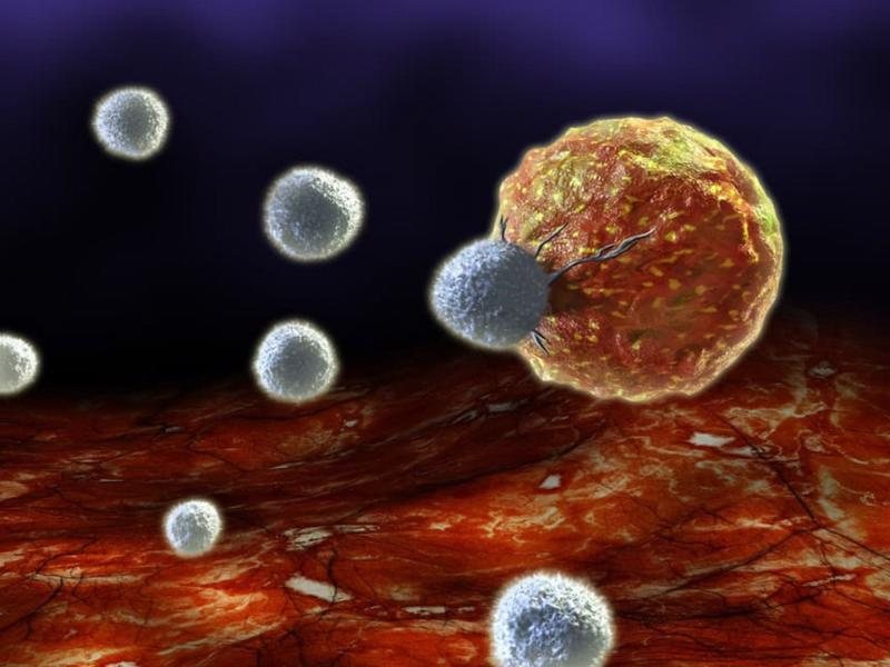 Tìm hiểu chi tiết về tế bào ung thư