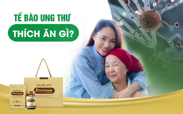 Tế bào ung thư là gì, tế bào ung thư thích ăn gì?