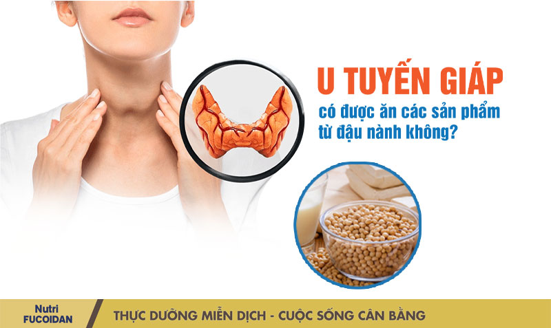 U tuyến giáp có ăn được các sản phẩm từ đậu nành không?