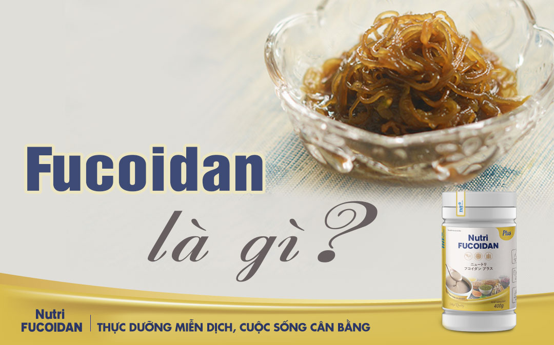 Fucoidan là gì ? Tất tần tật thông tin và tác dụng của Fucoidan
